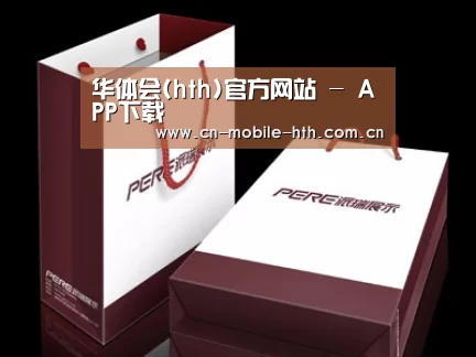 项目名称十二