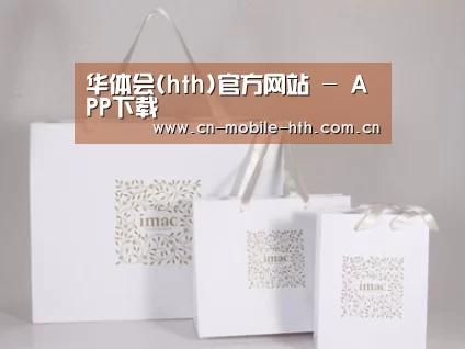 项目名称十一
